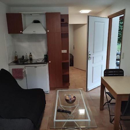 Deux Pieces Avec Grande Terrasse Au Calme Apartment Saint-Martin-Vesubie Bagian luar foto