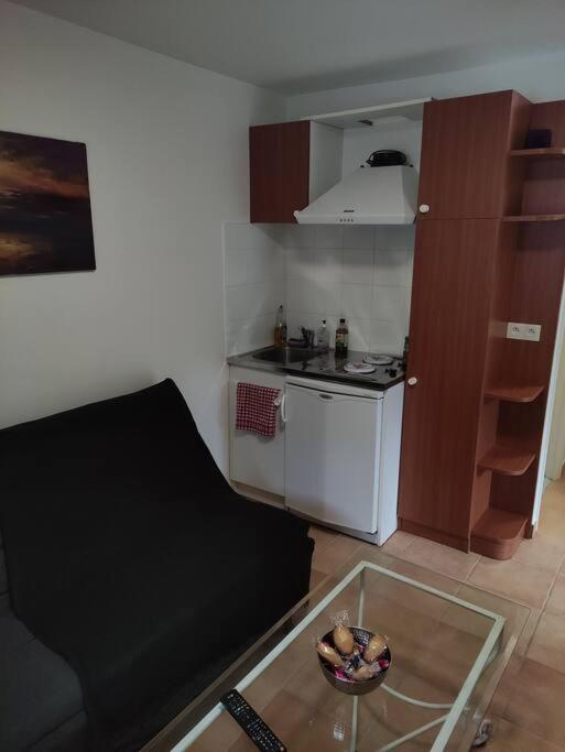 Deux Pieces Avec Grande Terrasse Au Calme Apartment Saint-Martin-Vesubie Bagian luar foto